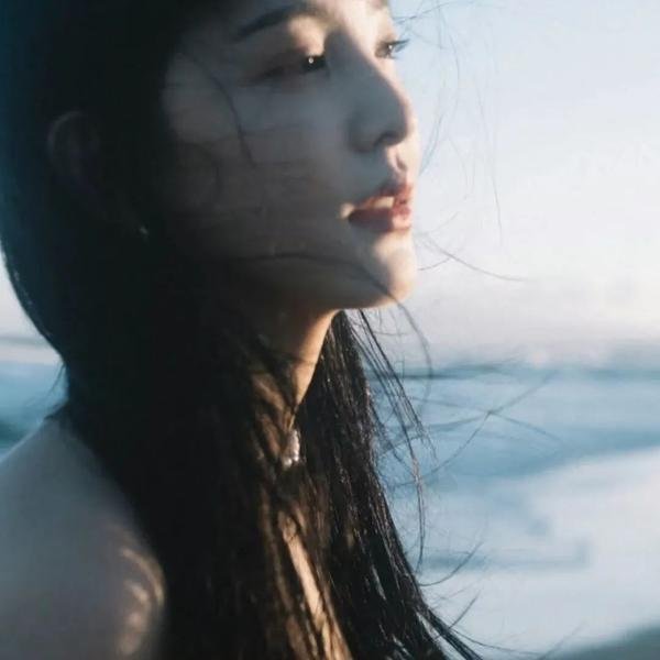 金部长的梦想人生