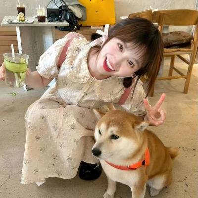 整容季